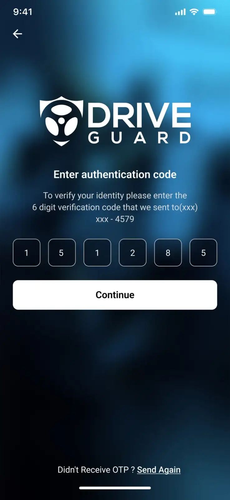 Drive Guard screen 2
